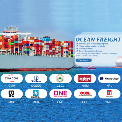 OOG BBK 40ft Container Международная морская перевозка из Китая в Иорданию для общего груза
